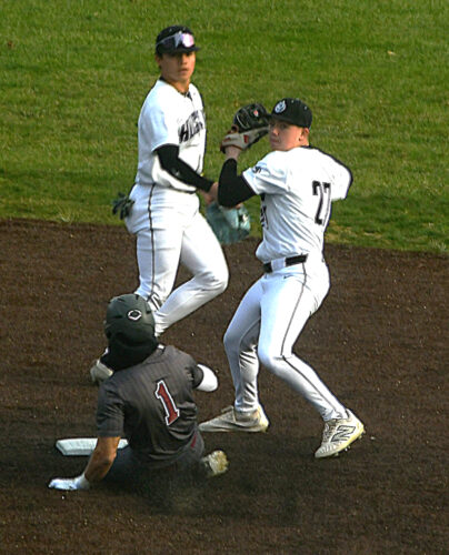Huskies use stellar pitching to sink Little Lions